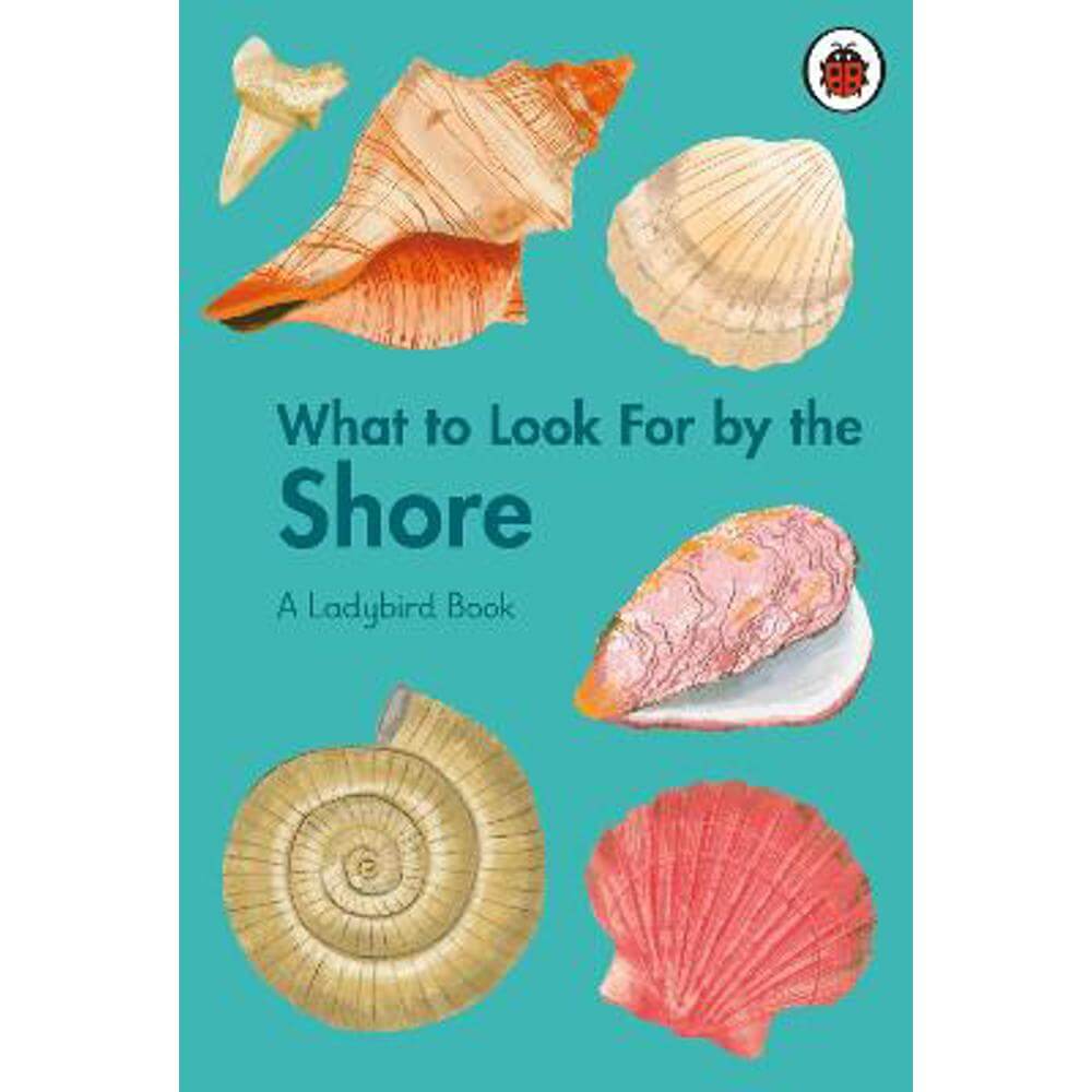 What to Look For by the Shore (Hardback) - Becky Brown